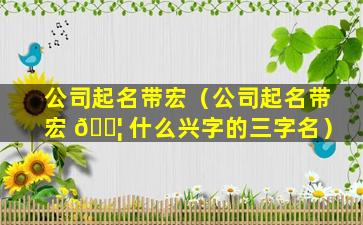 公司起名带宏（公司起名带宏 🐦 什么兴字的三字名）